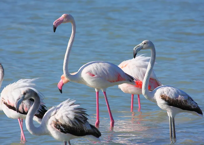 Casa Savina Vakantiehuis *